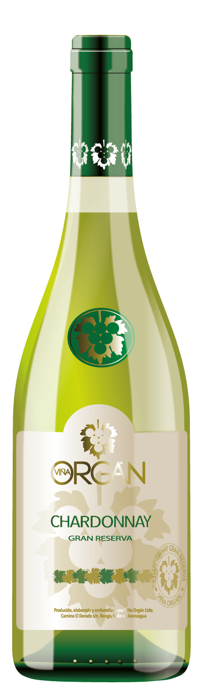Chardonnay Gran Reserva de Viña Orgán
